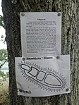 P8146790