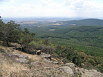 P8146800