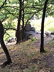 IMG_20220810_163523