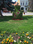 IMG_20220808_140541