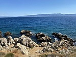 IMG_7378
