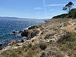 IMG_7377