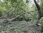 103688_20220918_190846_91633709ca503778e2e195b2592895f5bafa7ab8
