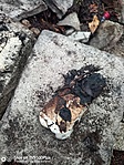 IMG_20220925_161202