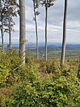IMG_20220924_122635