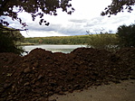 Felvonulási terület