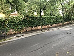 IMG_4812