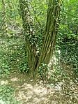 IMG_20220914_115005