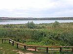 Halastó