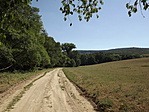 Szondy - Csitári-6
