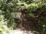Szondy - Csitári-7