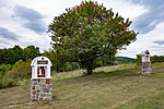 _DSC5793