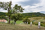 _DSC5797