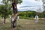 _DSC5799