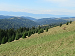 IMG_1701