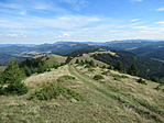IMG_1736