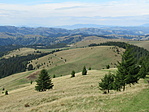 IMG_1788