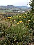 IMG_20220928_172507