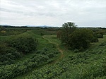 IMG_20220917_142513