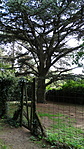 DSC05438