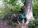 IMG_20220924_123902