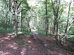 IMG_20220924_112222