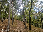 IMG_20220922_120412
