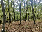 IMG_20220922_120929