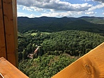 IMG_0782