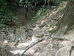 IMG_0792