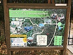 IMG_0812