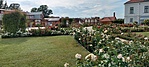 IMG20220904154735