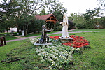 IMG_2311 másolata