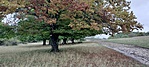 IMG20220917135432