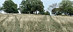 IMG20220917140422