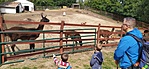 IMG_20220924_122655