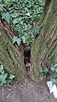 IMG_20220915_111232[1]