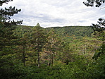 P9156996