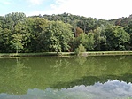 P9157015