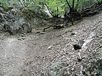 P9157056