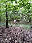 IMG_20220904_091039