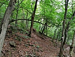 IMG_20220904_111437