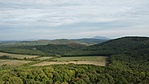 DJI_0505 (2)