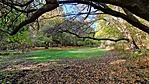 IMG_20221023_140422