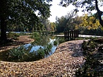IMG_20221023_120632