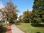 Futópálya