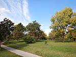 A park