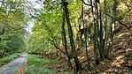 IMG_20221013_124618