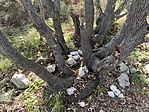 IMG_5013