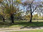 IMG_20221023_120935